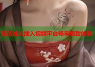 高清成人插入视频平台畅享极致体验