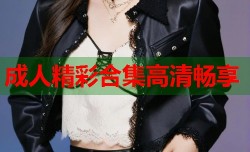 成人精彩合集高清畅享