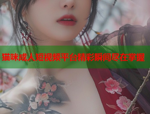 猫咪成人短视频平台精彩瞬间尽在掌握  第1张
